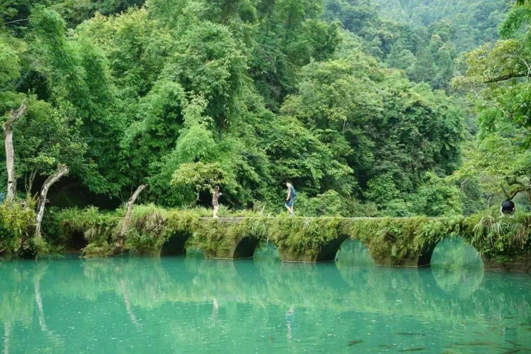 我想找个医院把自己的执照挂在那里，自己去别的地方学习一年，一年后再去参加卫生局的考试，这样可以吗？游戏画面