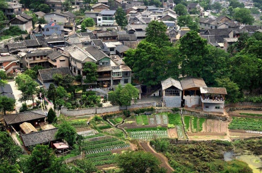 2024属猪的运势怎么样